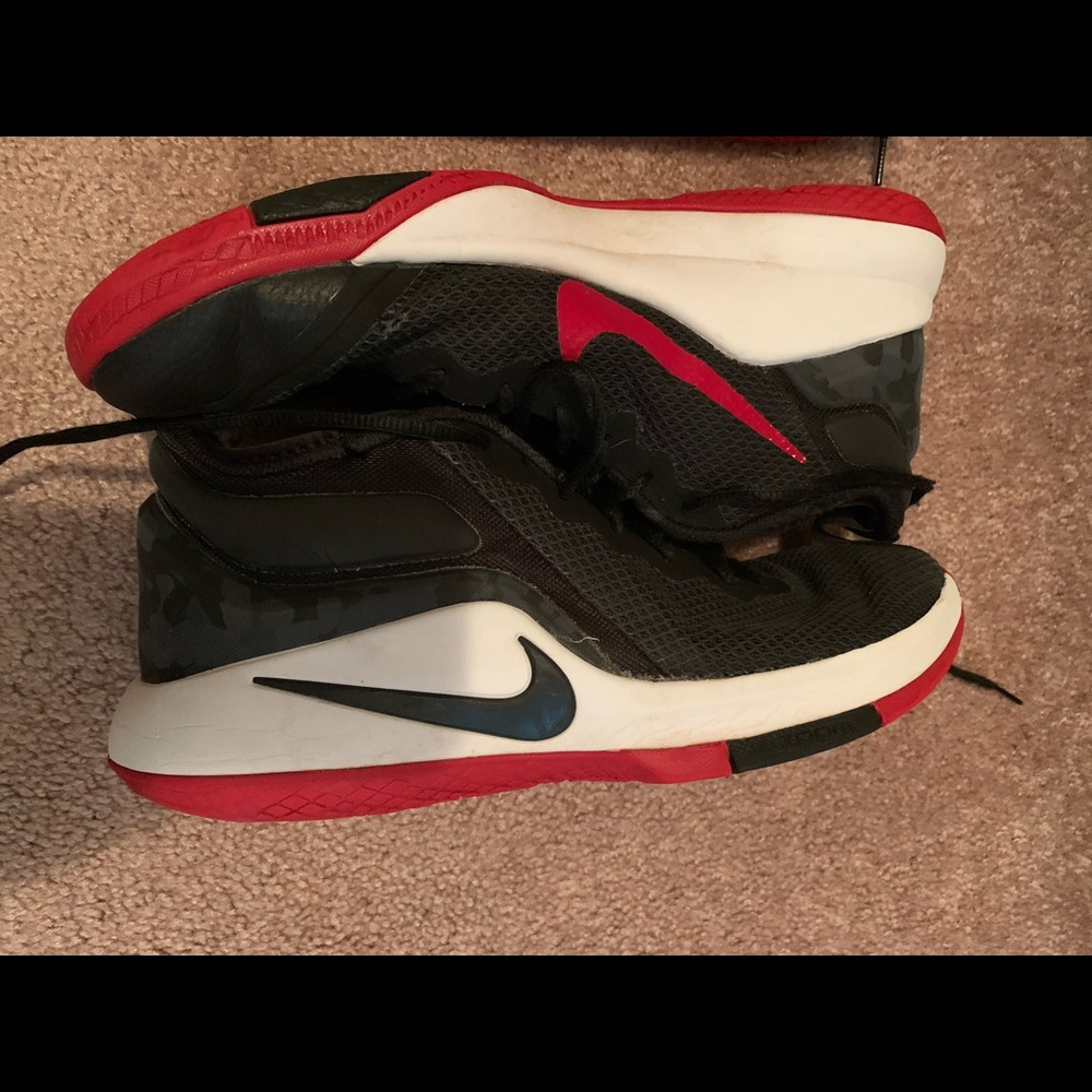 Nike Lebron Witness ii shoes